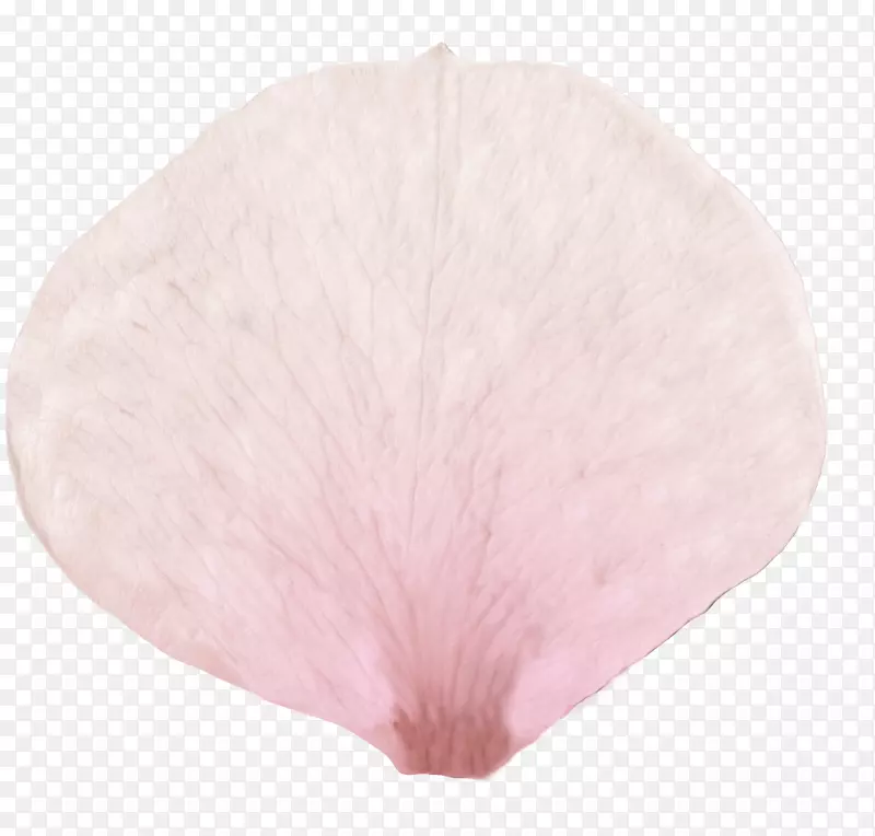 �������������ѧԺī���������ʲ�-������