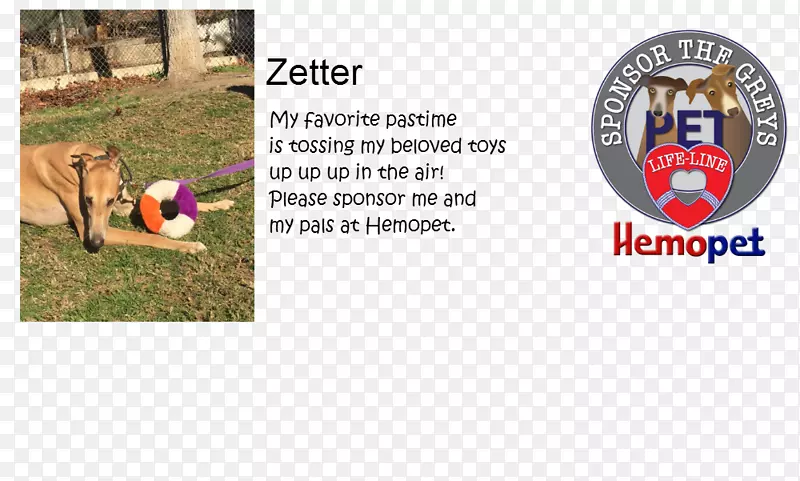 ���Ʒ��-Ѫ��-������