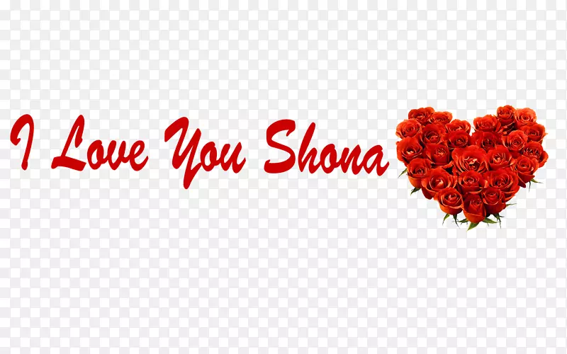 �ؿ����˽ڻ��갮���������˽�-������