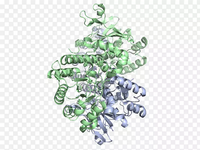 ��Ʒ����������-����-������