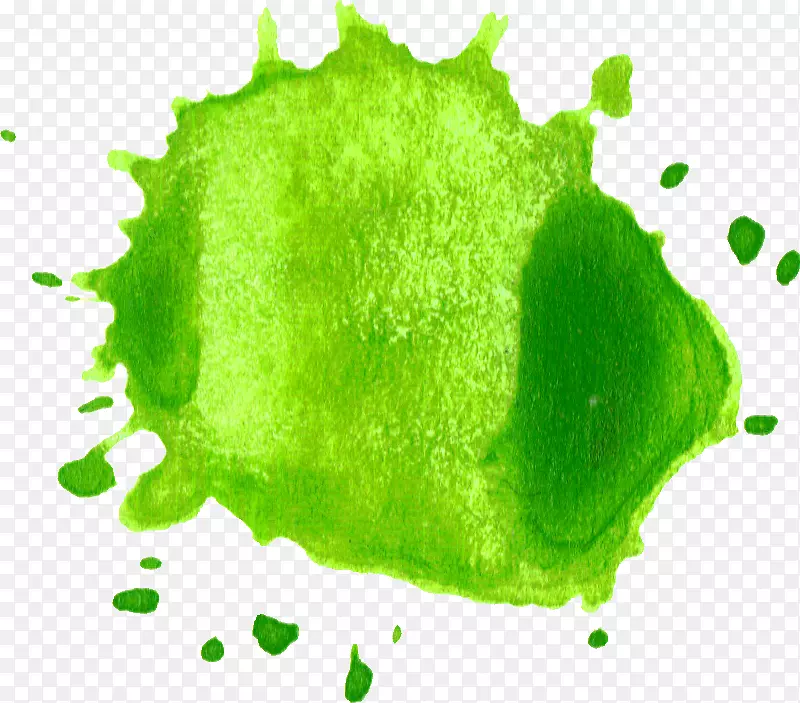 ˮ�ʻ�Spotify-������