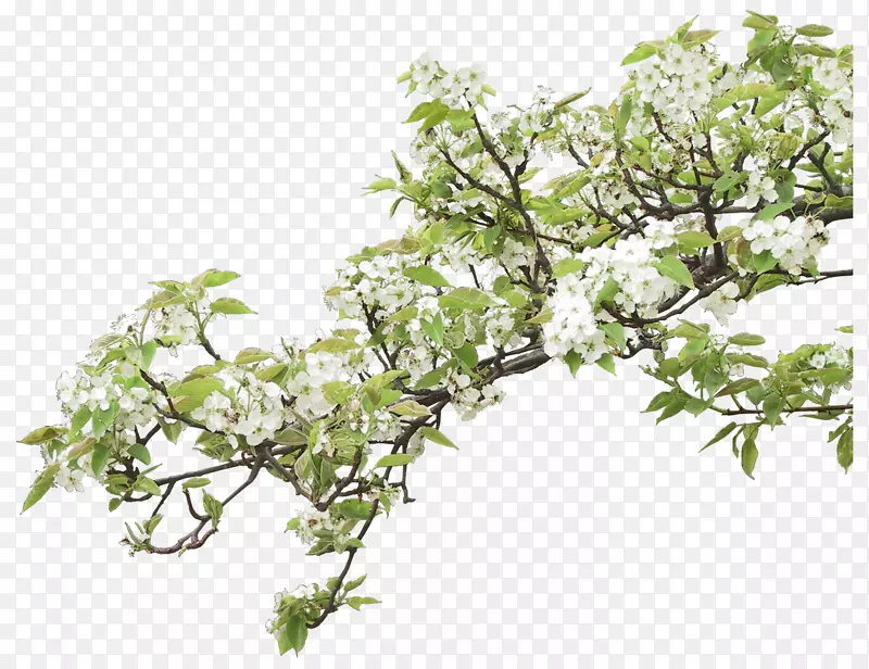 ������-������