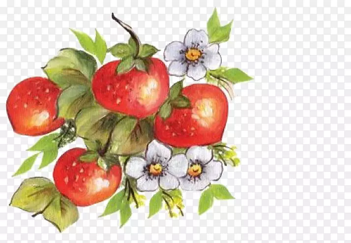 ��ݮ��-�ֻ��ݮ-������