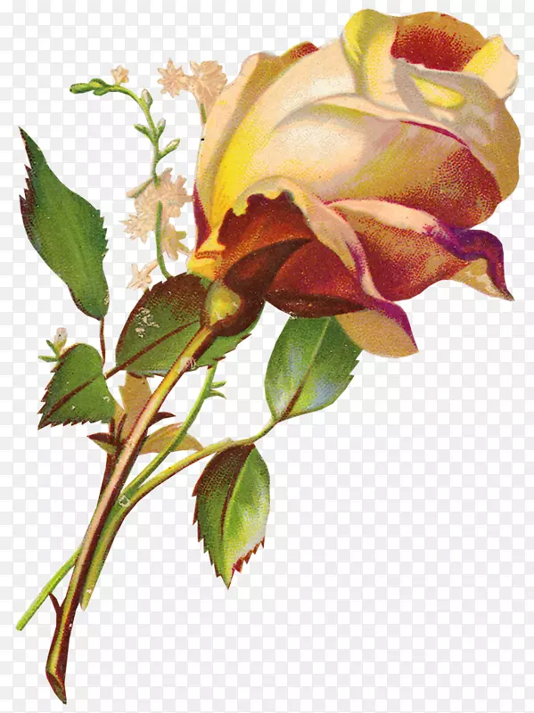 ������pngͼƬ����ͼ�񻨴���-������