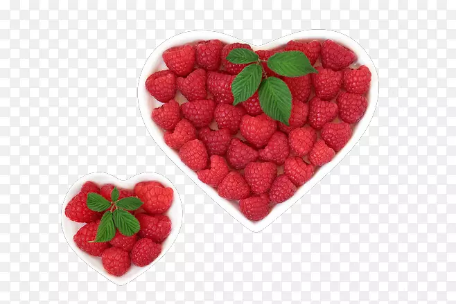 ѩ�⡢�����ӡ����������ݮ-��ݮ����-������