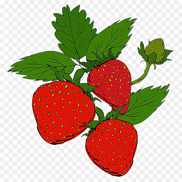 ����ܲ�ݮ-������