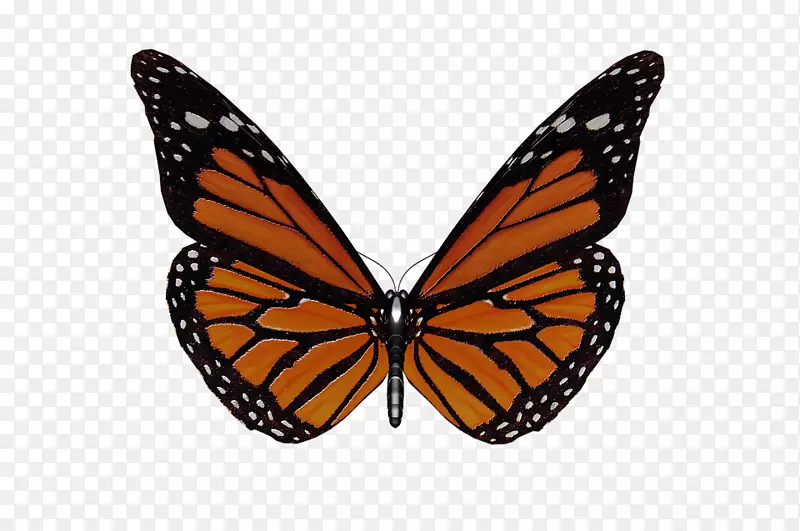 ��-������