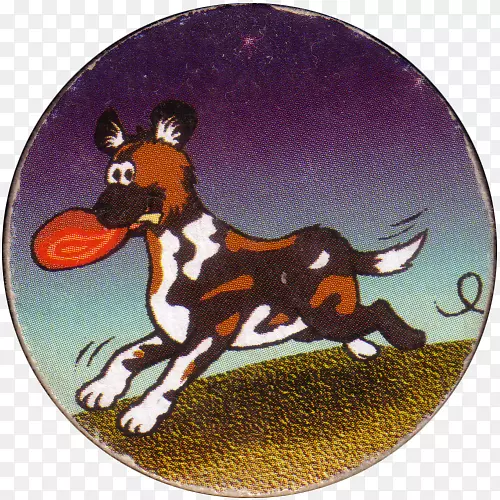 ��ͨ����ԪӢ����ñ��ͨ-������