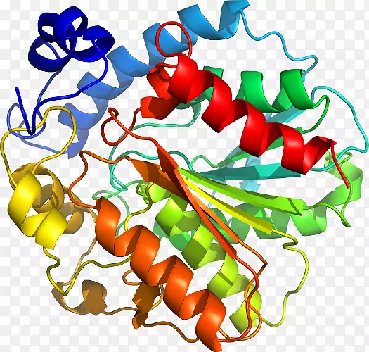 �������߲�ֲ�ﾥĵ����-�߲�-������