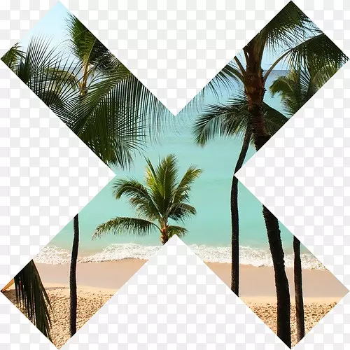 xx����-����-������