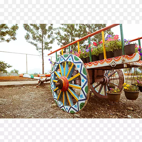 ���Ƴ���-������