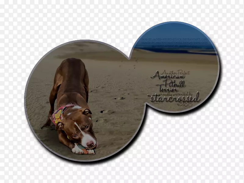 ������-�赸����-������