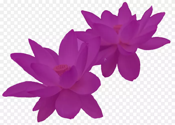 �˴�������������԰�����Ĵ�����-����-������