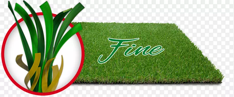 ��ƺ��־��ɫ�����.�����̻�-������