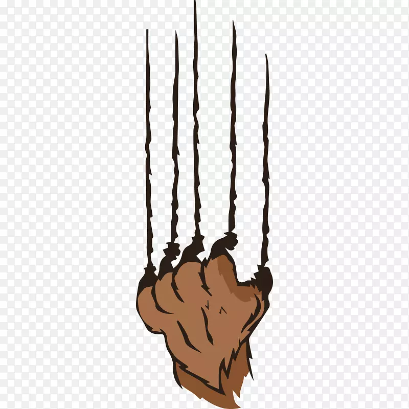 ָ��צ-������