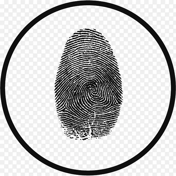 ����������������-������