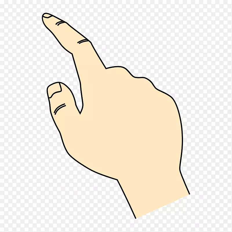 ʳָ��ָ��-������