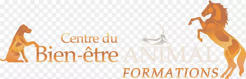 ����־�����̱�-�����־-������