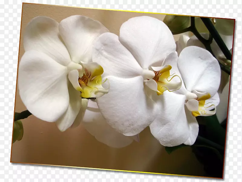 �������ӻ���-������