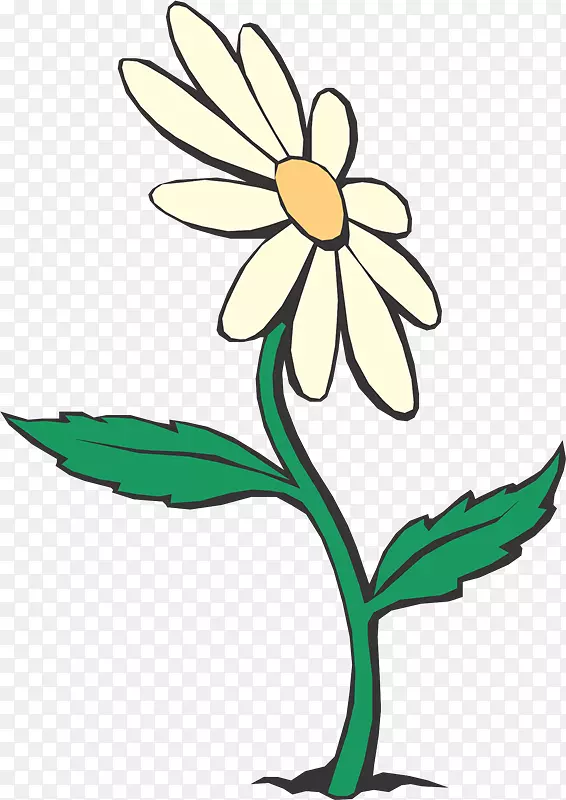 ��������л�����-WB-������