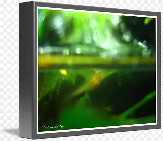 ���ӻ�Һ�����ӵ�����ʾ������Һ�������-������