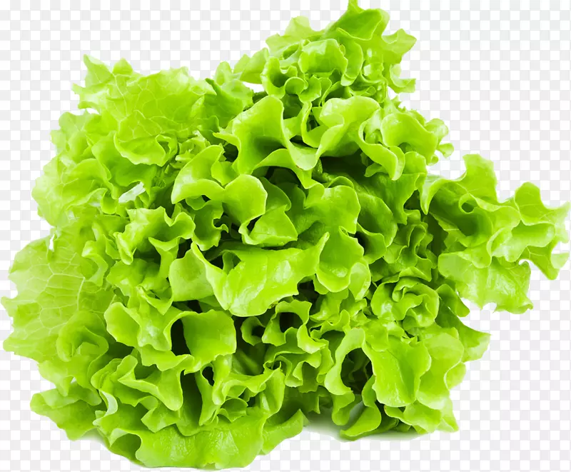 ?k fte�߲��������ʳˮ������-�߲�-������