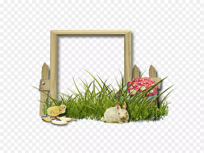 ������ƻ���ݻ���׺-������