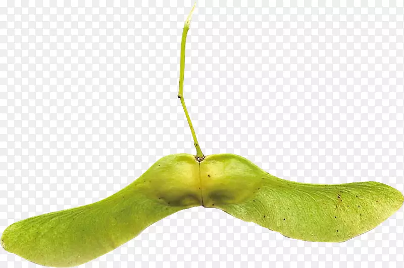 ɳ�����������¸���˹ɽ-������-����-������