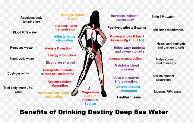 ��ָ��������ʽ�������-����ˮ-������