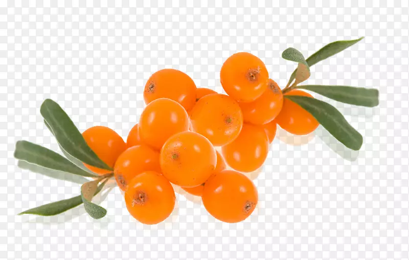 ����ɳ����֭pngͼƬ-������