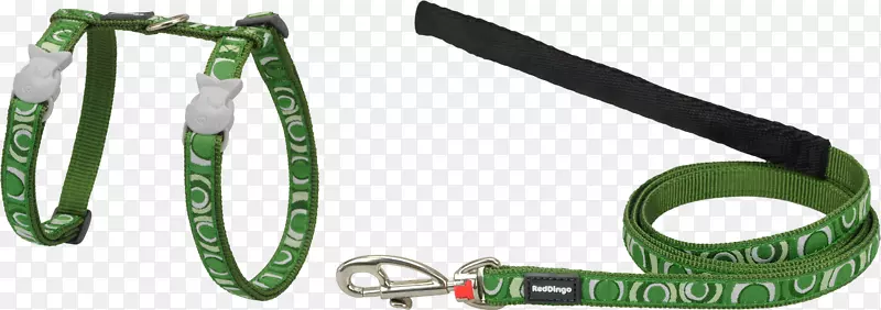 Ƥ�����鱦��Ʒ�����Ӳ��.�鱦����-������