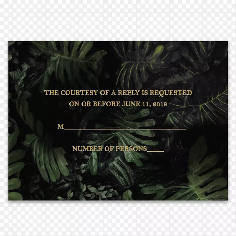 ��Ҷ��-������