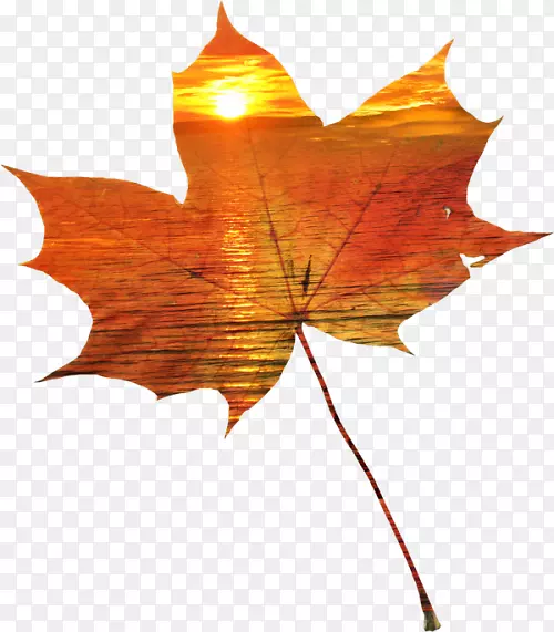 �����ռǼ��������＾�ı�-����-������