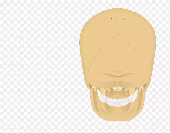 �˱ǲ�Ʒ���Ь��-������