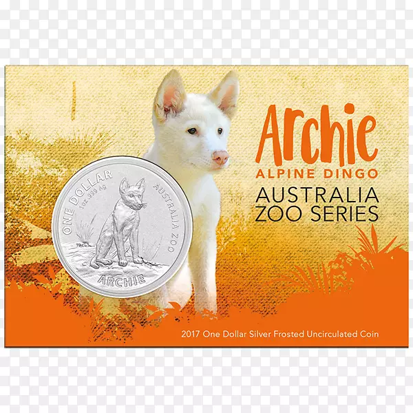 �Ĵ����Ƕ���԰�ʼҰĴ����Ǳ��������ܰĴ�������������-������