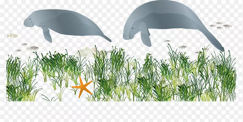 ��-������