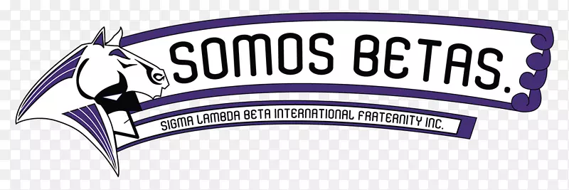 �ձ�Ʒ�������Ʒ����-beta max-������