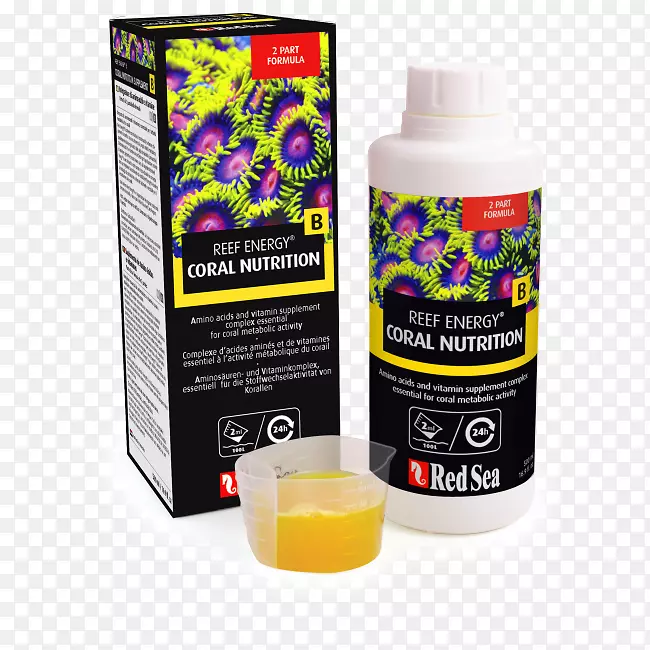 �캣��ʳ�����ɺ����-��-������