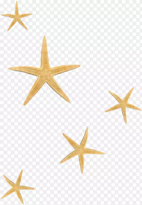 ���Ǽ�Ƥ���ﺣ���޼�׵���������-����-������