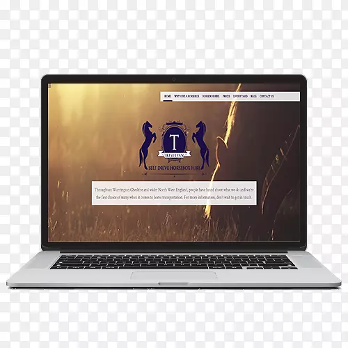 ��������Ʒ��ƶ�ý����Ӧ����������-������