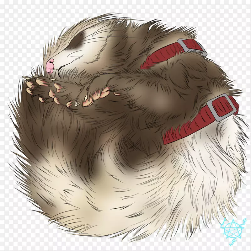 ��ʳ����-������