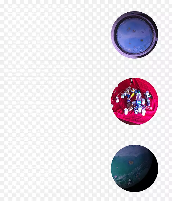 ����������Barnes&Nober-�鱦����-������