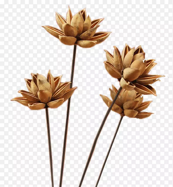 �������(����)����-�ɻ��۳�����-������