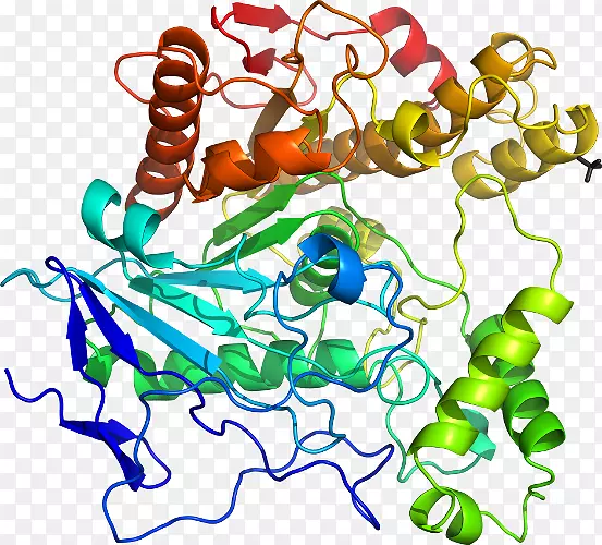 �������л����鱦��-������