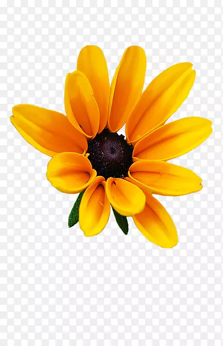 ��Ӱ�滭InstagramͼƬ������Ӱ������-��ɫ����-������