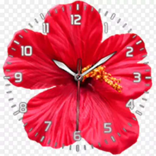 ���������ֽ������-������