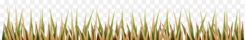 ���ͣ�ͼƬ�����꣬�ݵ�-������