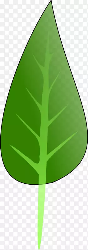 ��Ʒ���Ҷ��������Ҷ-������