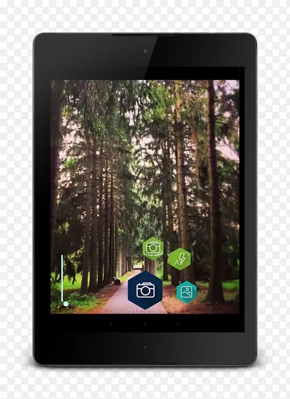 ��ý��С����-����-������