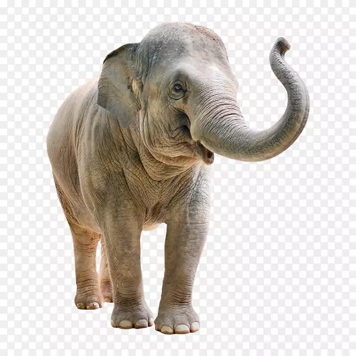 ӡ���������綯ƽ̨�������󿨳�-������